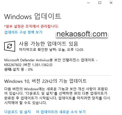 윈도우 업데이트 확인 내용